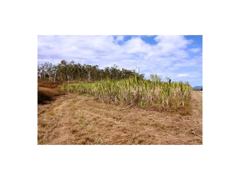 Lot 469 Jim McLeans Road, Mount Ossa QLD 4741