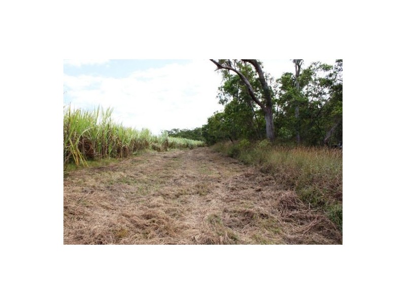 Lot 469 Jim McLeans Road, Mount Ossa QLD 4741