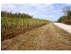 Lot 469 Jim McLeans Road, Mount Ossa QLD 4741