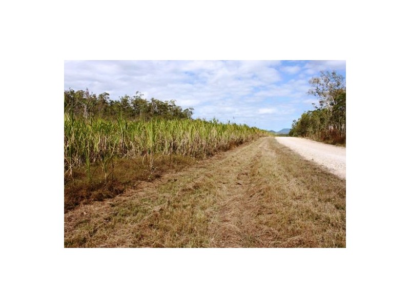 Lot 469 Jim McLeans Road, Mount Ossa QLD 4741