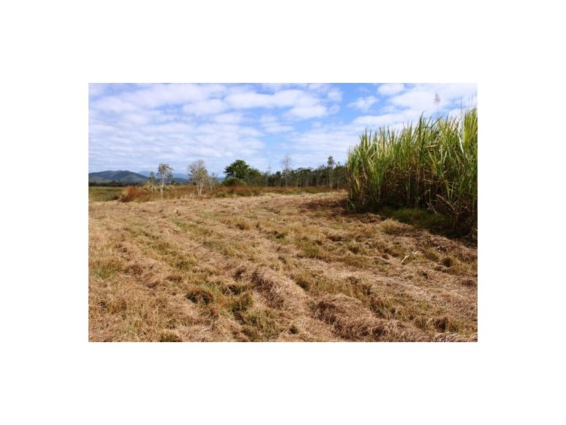 Lot 469 Jim McLeans Road, Mount Ossa QLD 4741