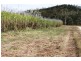 Lot 479 Howlands Road, Mount Ossa QLD 4741