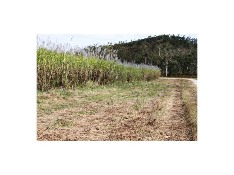 Lot 479 Howlands Road, Mount Ossa QLD 4741