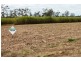Lot 479 Howlands Road, Mount Ossa QLD 4741
