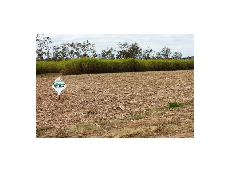 Lot 479 Howlands Road, Mount Ossa QLD 4741