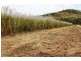 Lot 479 Howlands Road, Mount Ossa QLD 4741