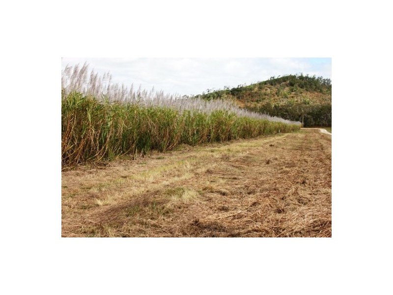 Lot 479 Howlands Road, Mount Ossa QLD 4741