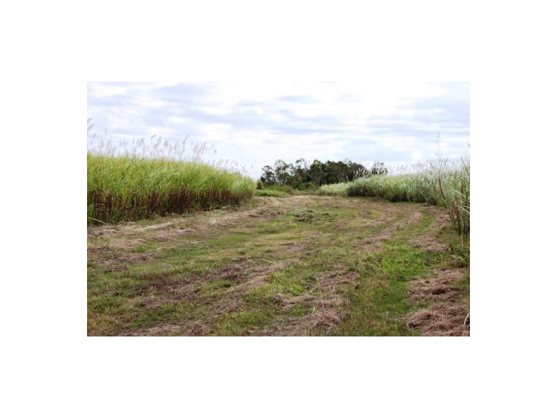 Lot 479 Howlands Road, Mount Ossa QLD 4741