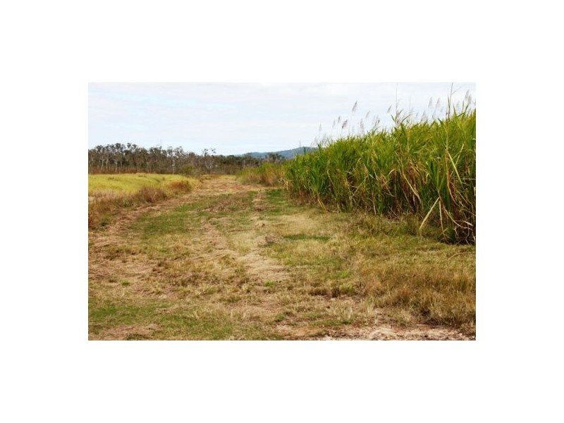 Lot 479 Howlands Road, Mount Ossa QLD 4741