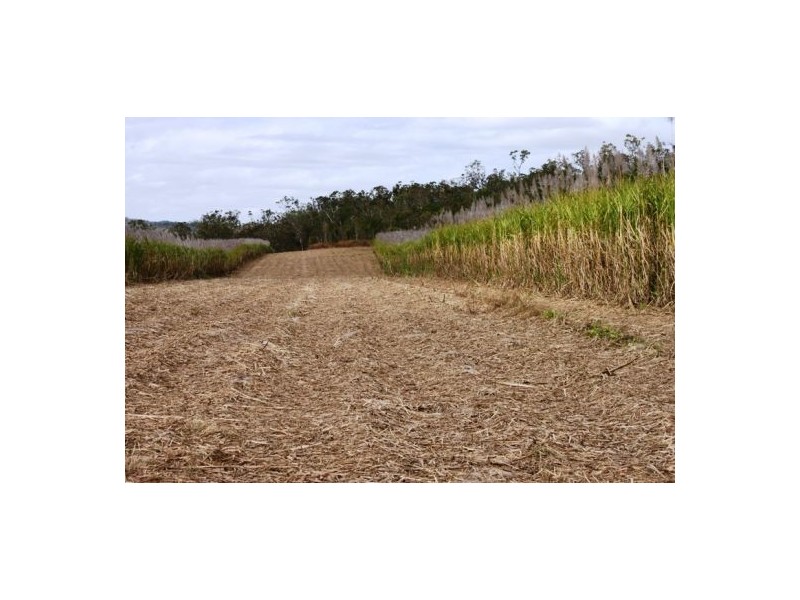 Lot 479 Howlands Road, Mount Ossa QLD 4741
