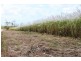 Lot 479 Howlands Road, Mount Ossa QLD 4741