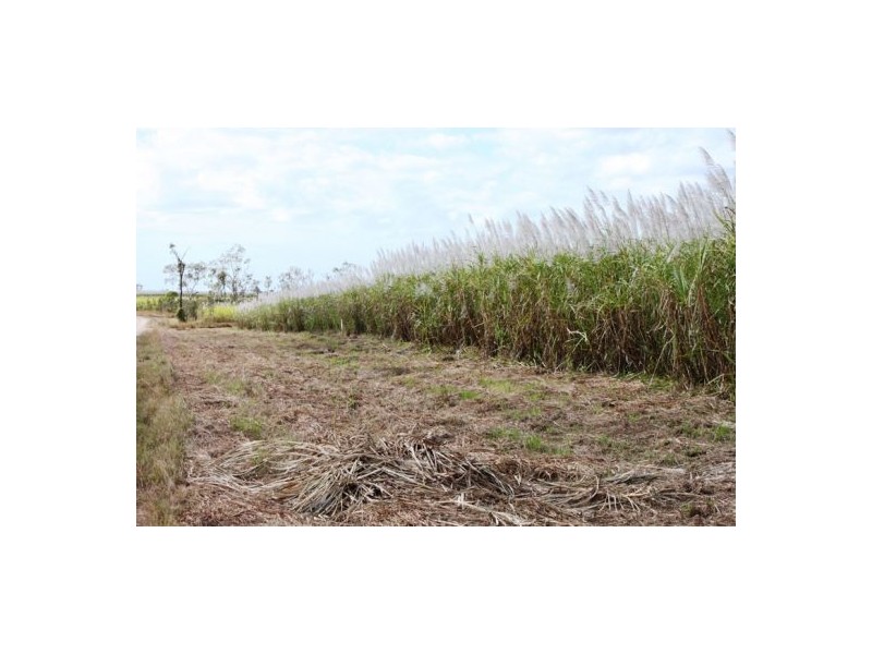 Lot 479 Howlands Road, Mount Ossa QLD 4741
