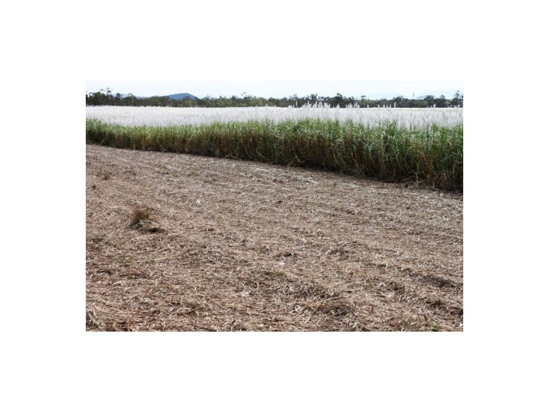 Lot 479 Howlands Road, Mount Ossa QLD 4741
