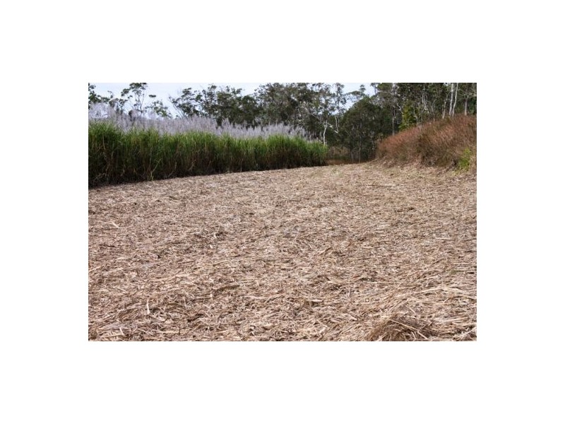 Lot 479 Howlands Road, Mount Ossa QLD 4741