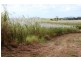 Lot 479 Howlands Road, Mount Ossa QLD 4741