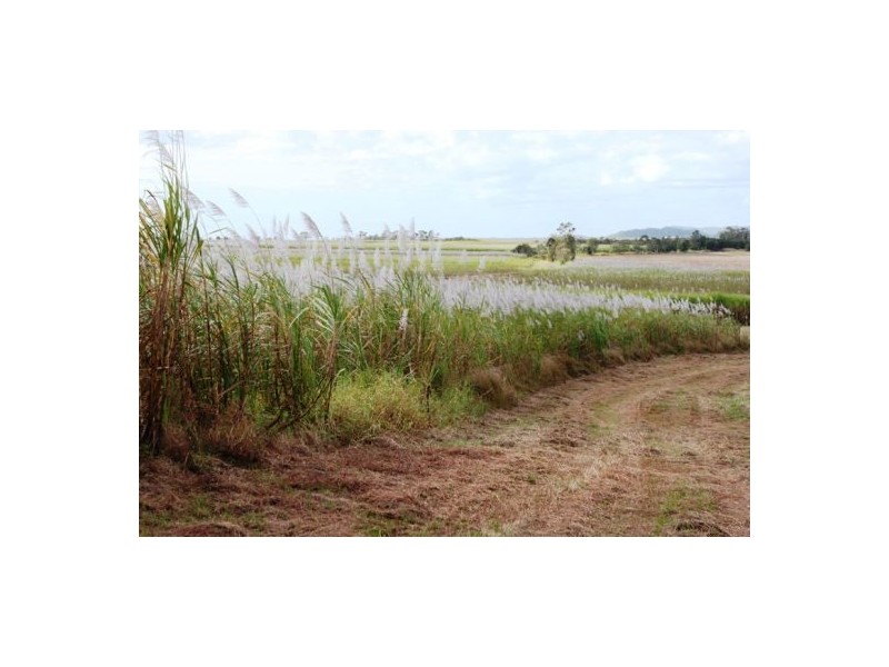 Lot 479 Howlands Road, Mount Ossa QLD 4741