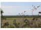 Lot 479 Howlands Road, Mount Ossa QLD 4741
