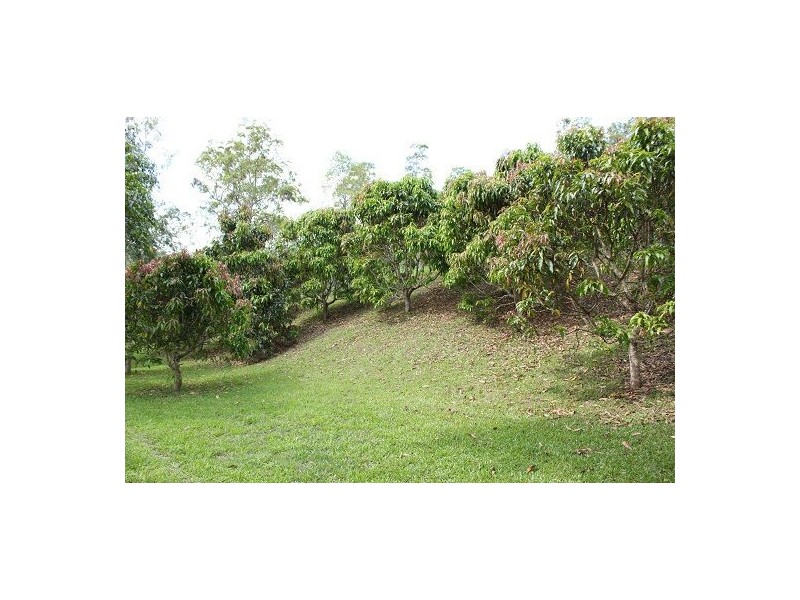 36  GAKOWSKIS ROAD, Dows Creek QLD 4754