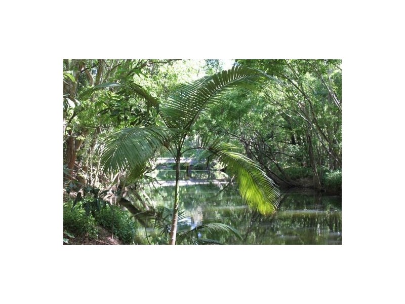 Lot 4 Newmans Road, Mackay QLD 4740