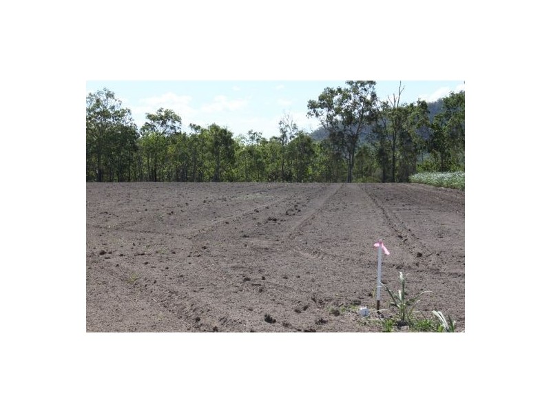 Lot 4 Newmans Road, Mackay QLD 4740