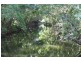Lot 4 Newmans Road, Mackay QLD 4740