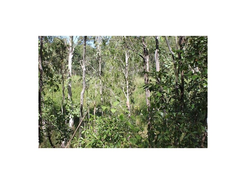 122 Lindeman Drive, Bloomsbury QLD 4799