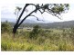 122 Lindeman Drive, Bloomsbury QLD 4799