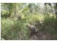 122 Lindeman Drive, Bloomsbury QLD 4799
