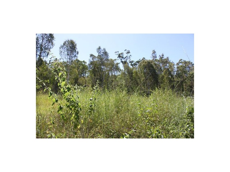 122 Lindeman Drive, Bloomsbury QLD 4799