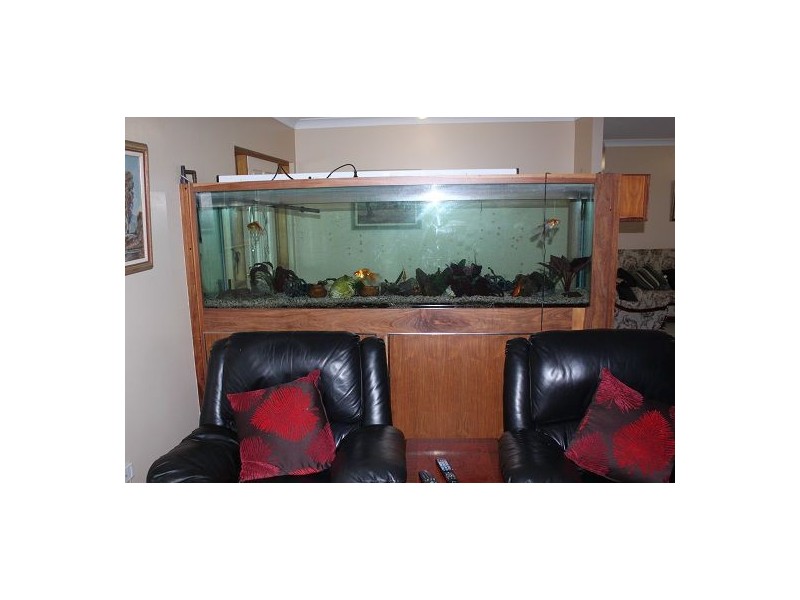 Lot 85 Bruce Highway, Bloomsbury QLD 4799