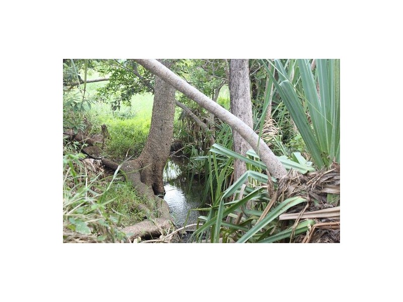 Lot 85 Bruce Highway, Bloomsbury QLD 4799