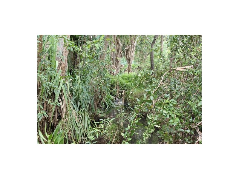 Lot 85 Bruce Highway, Bloomsbury QLD 4799