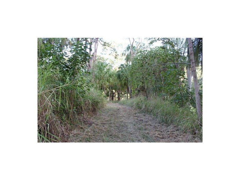 130 Bobongies Road, Habana QLD 4740