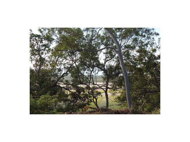 130 Bobongies Road, Habana QLD 4740