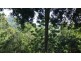 639 Yakapari-seaforth Road, MT JUKES, Mackay QLD 4740