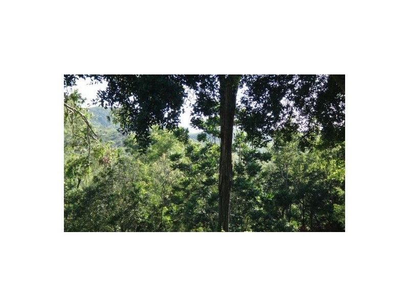 639 Yakapari-seaforth Road, MT JUKES, Mackay QLD 4740