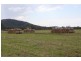 Lot 12 Mt Ossa – Seaforth Road, Mount Ossa QLD 4741