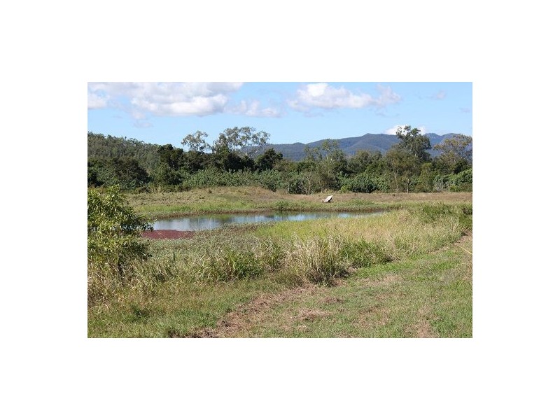 Lot 12 Mt Ossa – Seaforth Road, Mount Ossa QLD 4741