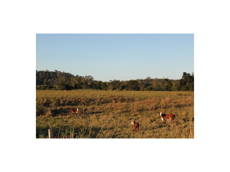 Lot 12 Mt Ossa – Seaforth Road, Mount Ossa QLD 4741