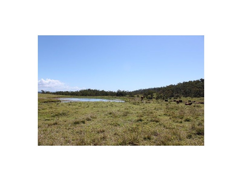 909 Mt Ossa – Seaforth Rd, Seaforth, Mackay QLD 4740