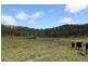 Lot 23 Gormleys Rd, Seaforth, Mackay QLD 4740