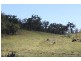 Lot 23 Gormleys Rd, Seaforth, Mackay QLD 4740