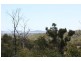 Lot 23 Gormleys Rd, Seaforth, Mackay QLD 4740