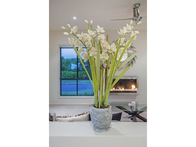 6 Rampage Street, Coomera Waters QLD 4209