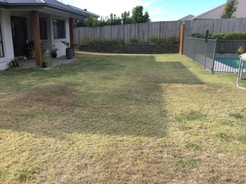 5 Mazie Lane, Coomera QLD 4209