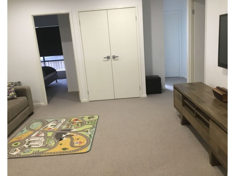 25 Impeccable Cct, Coomera Waters QLD 4209