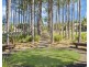 2 Ingrid Lane, Coomera Waters QLD 4209