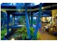 7 Rani Avenue, Coomera Waters QLD 4209