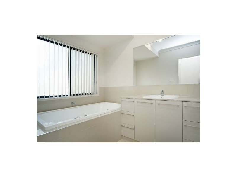 20 Daintree Drive, Coomera QLD 4209