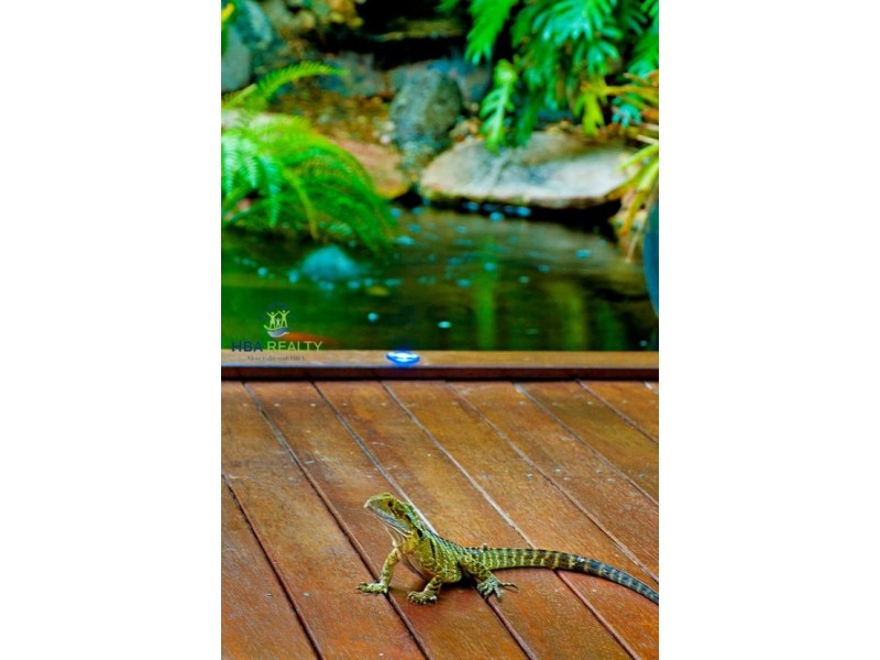 8  TRADITION PLACE, Coomera Waters QLD 4209